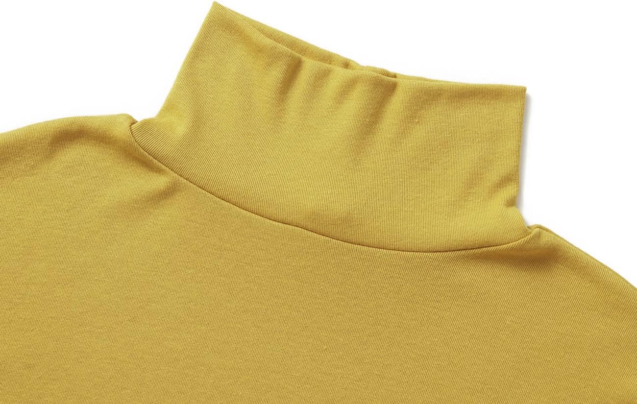 Leo – Herren Turtleneck Langarmshirt