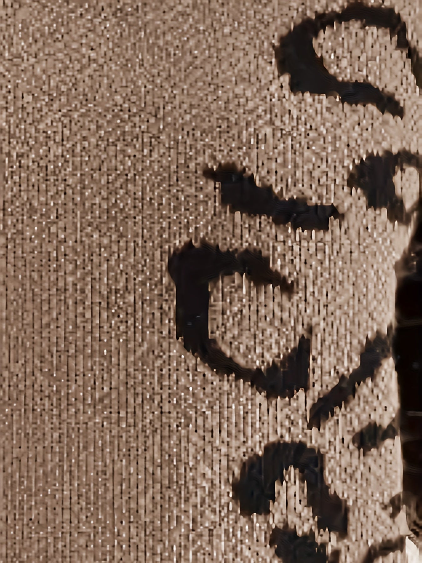 Giulia – Damenpullover mit Leopardenmuster und Rundhalsausschnitt