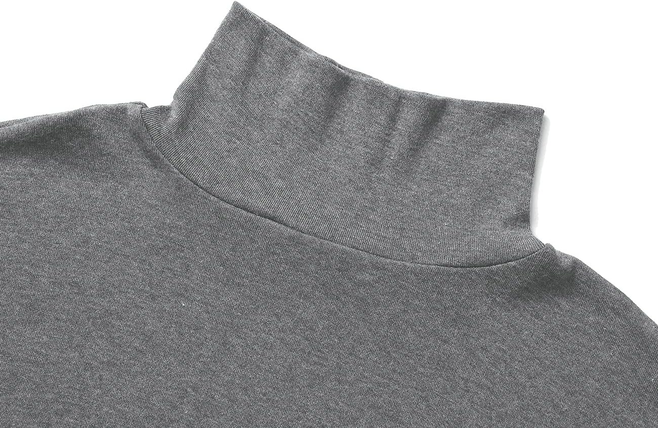 Leo – Herren Turtleneck Langarmshirt