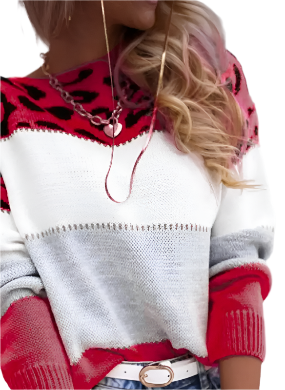 Francesca – Damenpullover mit Leopardenmuster und Blockfarben
